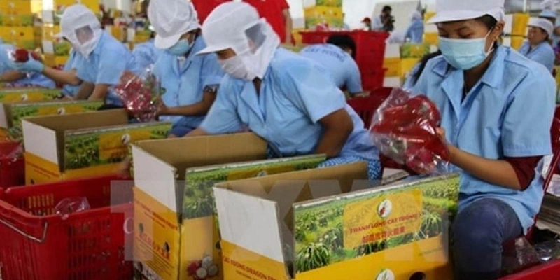 Bối cảnh thị trường xuất khẩu sang EU