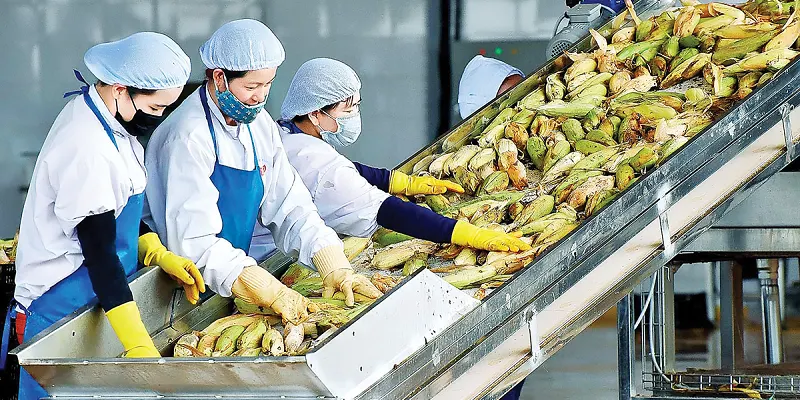 EUDR và tác động đến nông sản Việt Nam