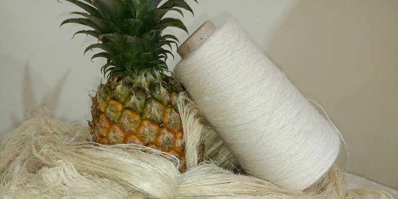 Khởi nghiệp sợi dứa Ecosoi