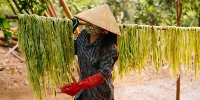 Tác động kinh tế và môi trường