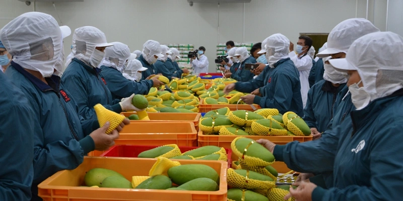 Yêu cầu EU đối với xuất khẩu nông sản Việt Nam